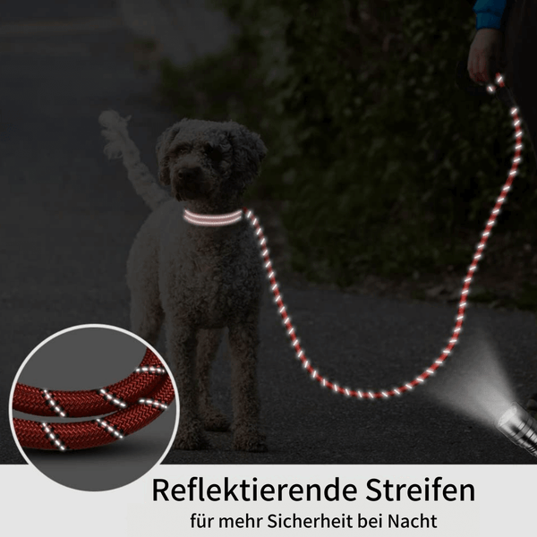 ComfyLeine - Hochwertige Hundeleine für bequeme und sichere Spaziergänge